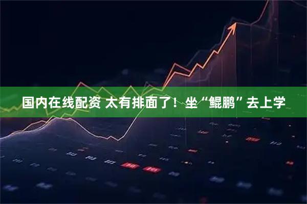 国内在线配资 太有排面了！坐“鲲鹏”去上学